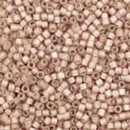 Perline Miyuki Delica 11/0 Silverlined opal shell DB-1459