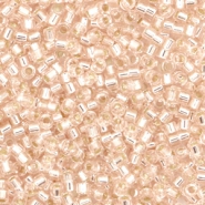 Perline Miyuki Delica 11/0 Silverlined pink mist DB-1203
