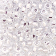 Rocailles Miyuki 6/0 Pearlized effect silver 6-4613