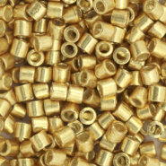 Perline Miyuki Delica 8/0 Duracoat galvanized gold DBL-1832