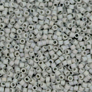 Perline Miyuki Delica 11/0 Opaque matte AB gray DB-882