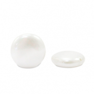 Perline di conchiglie lucido perlato perline rotonde 12mm bianco