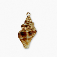 Pendenti di conchiglia prodotti speciali marrone-oro
