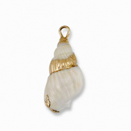 Pendenti di conchiglia prodotti speciali bianco cremosa-oro