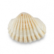 Pendenti di conchiglia prodotti speciali conchiglia di capesante bianco cremosa