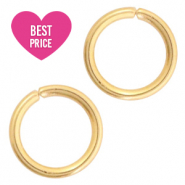Componenti in acciaio inossidabile anellino apribile 6mm oro