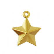 Ciondoli in acciaio inossidabile stella oro
