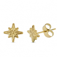 Orecchini in acciaio inossidabile stella oro