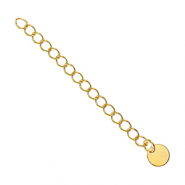 Componenti di metallo DQ allungatrice moneta 6mm oro (privo di nichel)