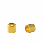 Terminali di metallo DQ Ø3.2mm oro (privo di nichel)
