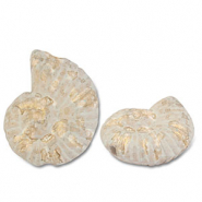 Perline di ceramica greca DQ conchiglia bianco-marrone chiaro-oro