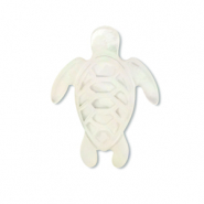 Perline di conchiglia tartaruga bianco (colore naturale)