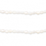 BQ Perle di acqua dolce chicco di riso 5x4mm bianco naturale