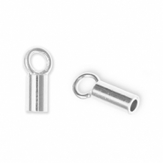 Componenti di metallo DQ Eco-brass® terminale argento antico (privo di nichel)