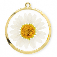 Ciondoli con fiore secchi 34mm oro-bianco-arancione delicato