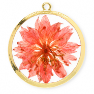 Ciondoli con fiore secchi 34mm oro-rosso corallo vivo