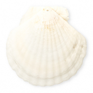 Pendenti di conchiglia prodotti speciali conchiglia di capesante bianco