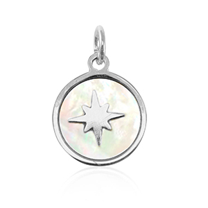 Ciondoli in acciaio inossidabile conchiglia 10mm argento-bianco (colore naturale)