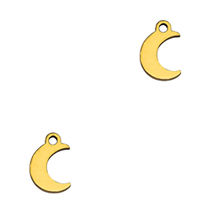 Ciondoli in acciaio inossidabile luna oro