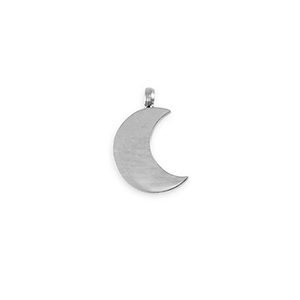 Ciondoli in acciaio inossidabile La Luna argento