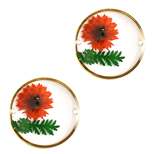 Distanziatori con fiore secchi 20mm oro-rosso verde