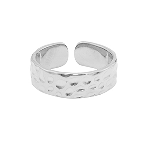 Anelli in acciaio inossidabile argento