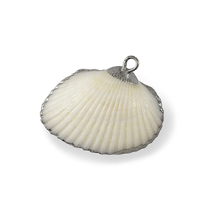 Pendenti di conchiglia prodotti speciali conchiglia di capesante bianco-argento