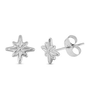 Orecchini in acciaio inossidabile stella argento