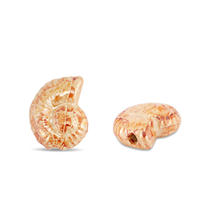 Perline di ceramica greca DQ conchiglia arancione