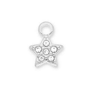 Ciondoli in acciaio inossidabile stella con strass argento-trasparente