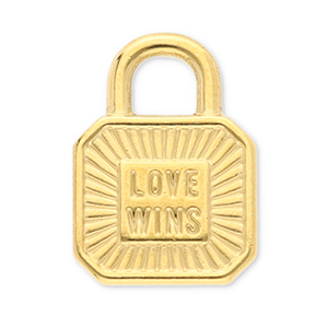 Ciondoli in acciaio inossidabile lucchetto "love wins" oro