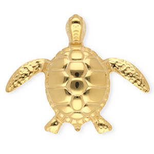 Broches accattivanti in acciaio inossidabile tartaruga oro
