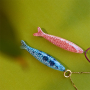 Ispirazione con le sardine DQ in ceramica 